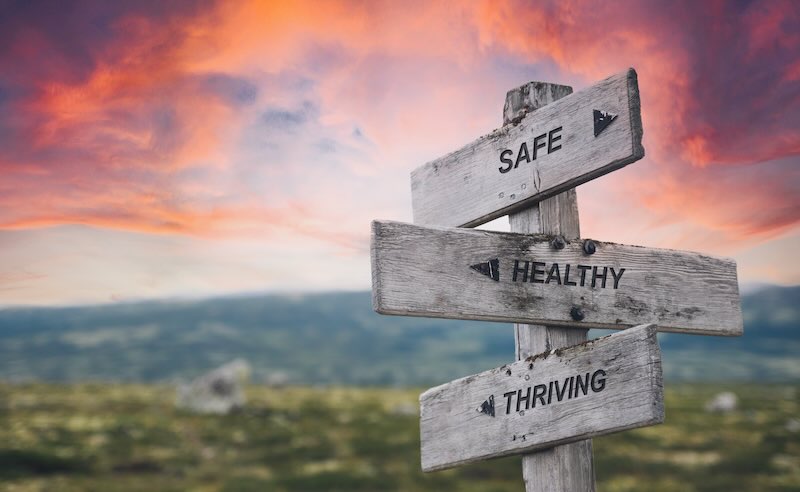 Trauma Informed Framework for Services